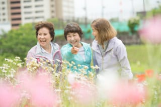 花鳥園